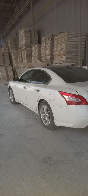 Nissan Maxima 15000$ Nissan Maxima 15000$