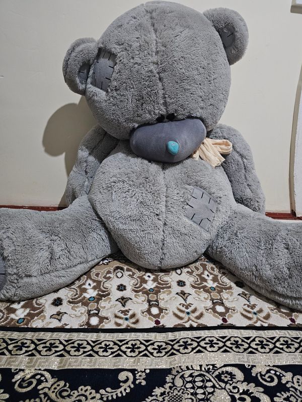 TeDDy ayiq 2 ta bor