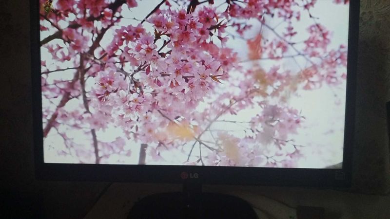 Monitor LG Kompyuter uchun Monitor LG Kompyuter uchun