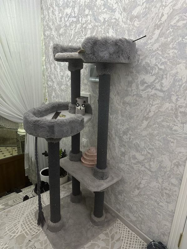 Кошачий домик состаяна хорошие