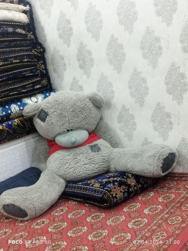 Teddy Boyi 2m sotiladi