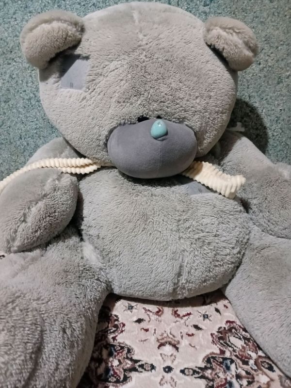 teddiy