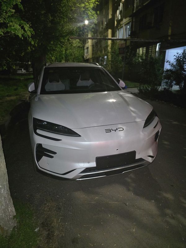 BYD champion новый BYD champion новый