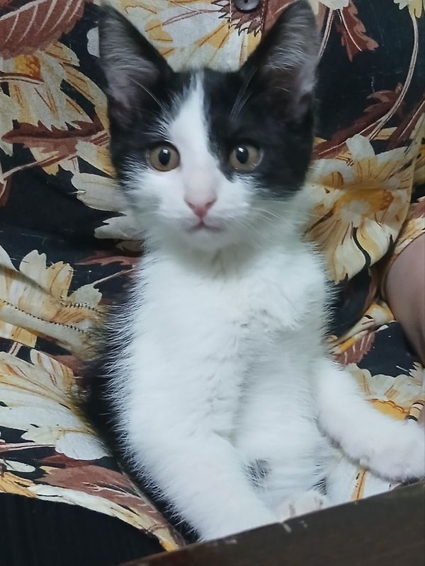 Xadiyaga beriladi Xadiyaga beriladi