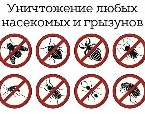 Дезенфекция дизенфекция дезинфекция дизинфекция dizinfeksiya Дезенфекция дизенфекция дезинфекция дизинфекция dizinfeksiya
