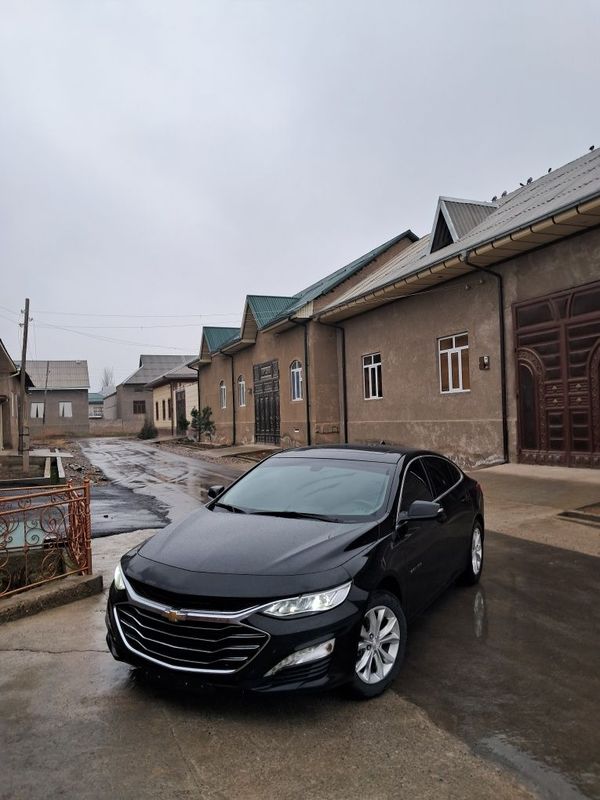 Malibu 2 primier