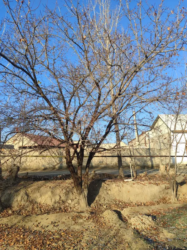 Redmi 11x. puro Redmi 11x. puro