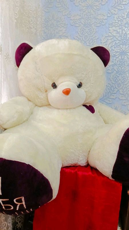 teddy ayiqcha teddy ayiqcha