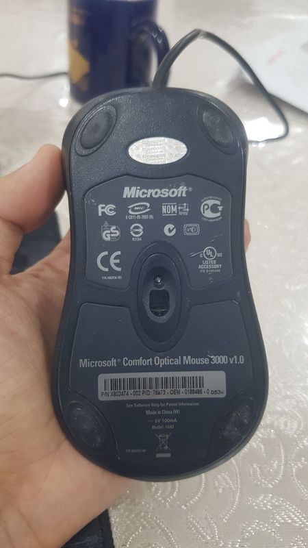 Microsoft mishka