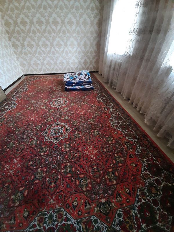 Проадм ковёр 3×5
