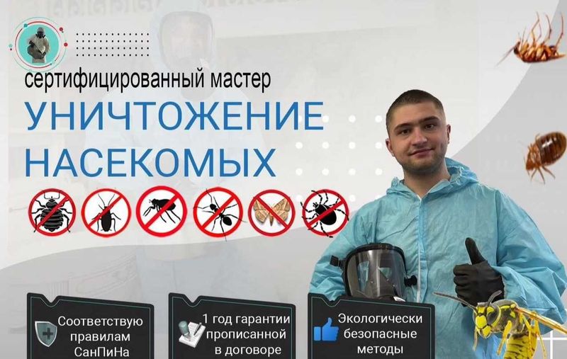 Таракан Клоп Бурга Блох Клещ Муравьи Скорпион Dezinfeksiya Дезинфекция