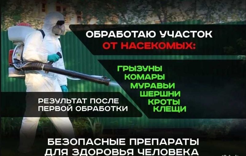 Dezinfeksiya klapa, tarakan | dizinfeksiya dizenfeksiya dezenfeksiya Dezinfeksiya klapa, tarakan | dizinfeksiya dizenfeksiya dezenfeksiya