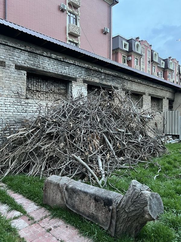 Ветки, дрова, бесплатно, самовывоз Дархан