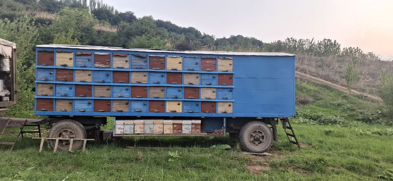 Прицеп для перевозки Пчел(асалари) Прицеп для перевозки Пчел(асалари)