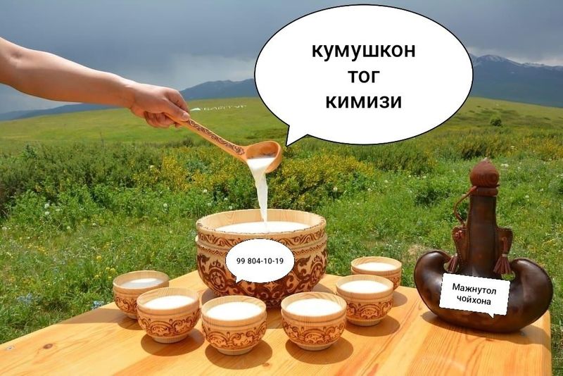 Kumushkon tog qimizi va qumron tuya suti xam bor Kumushkon tog qimizi va qumron tuya suti xam bor