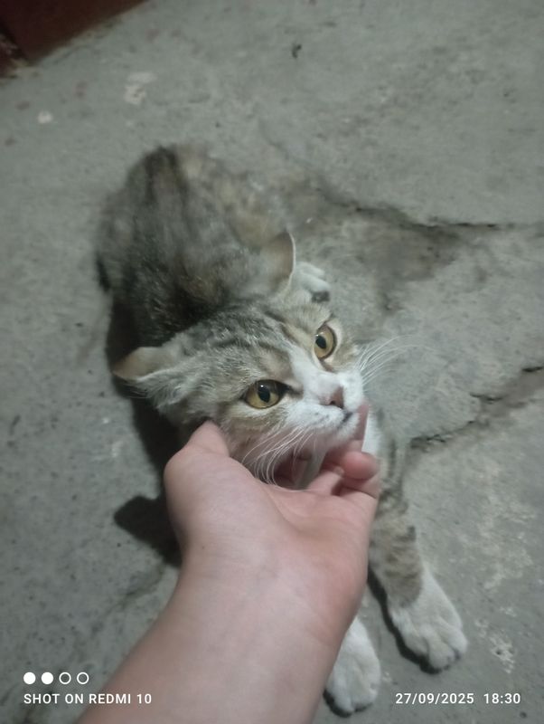 uy mushugi manzil Andijon shahar fasad yoni