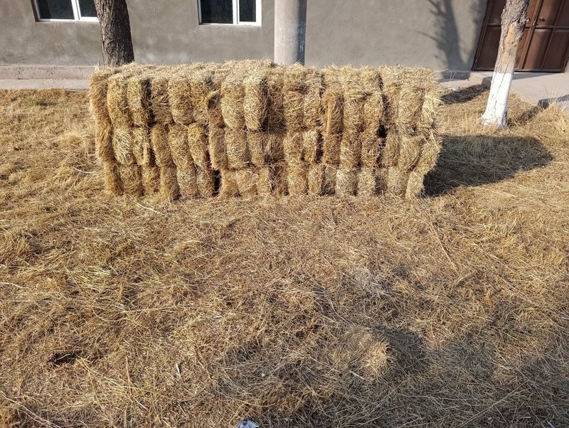 Оддий прес Беда прес бор