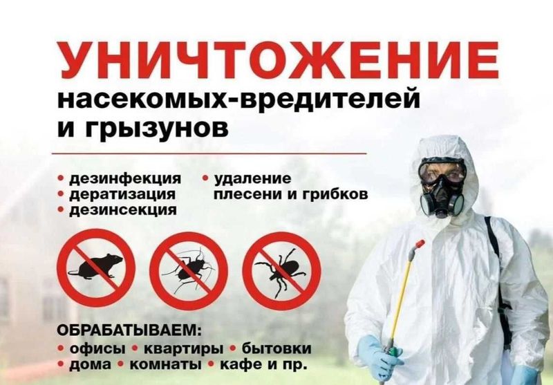 Dezinfeksiya tarakan, klapa, klop | Дезинфекция клопо таракан | DezUz Dezinfeksiya tarakan, klapa, klop | Дезинфекция клопо таракан | DezUz