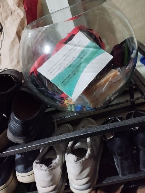 Akvarum shisha idishli Akvarum shisha idishli