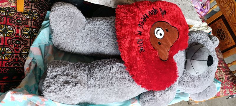 Teddy seriy