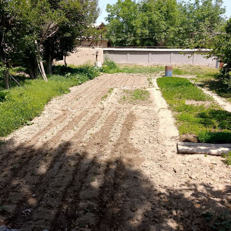 Yuqori Chirchiq tumanida yer uchastkasi sotiladi