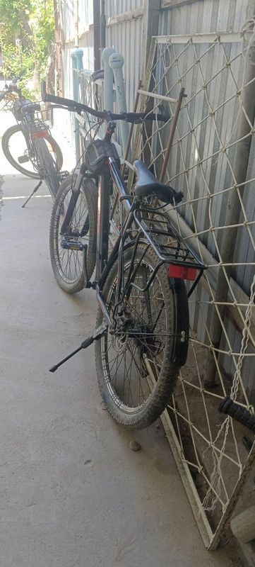 Velik sotiladi sikarasnoy rangi qora Velik sotiladi sikarasnoy rangi qora