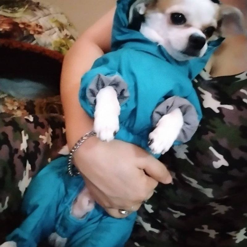 Мальчик ишо маленький