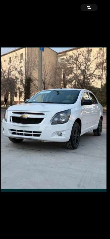 2025 Cobalt Midnight Maslaaa 2025 Cobalt Midnight Maslaaa
