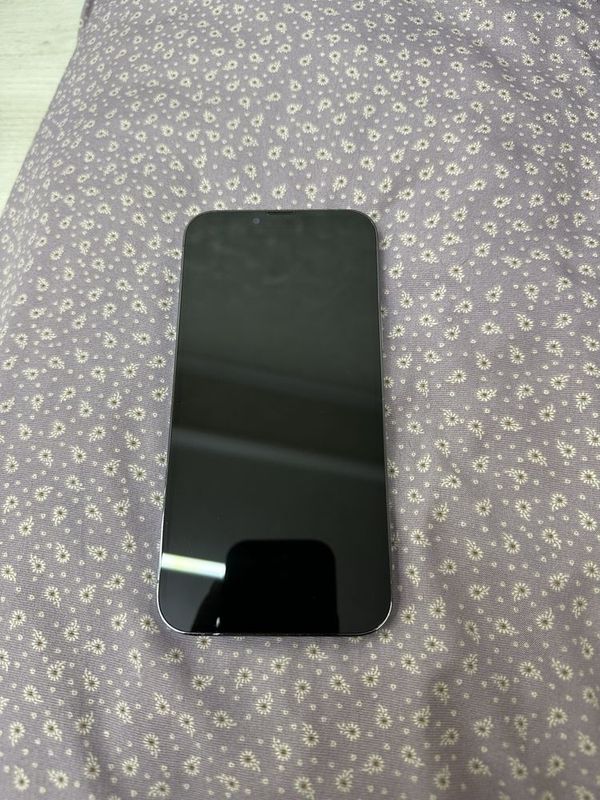 Iphone 13 pro max Iphone 13 pro max