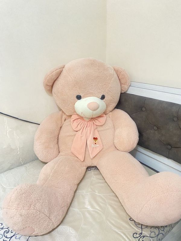 Teddy ayiq kotta 150dan oshsa kere bo’yi Teddy ayiq kotta 150dan oshsa kere bo’yi
