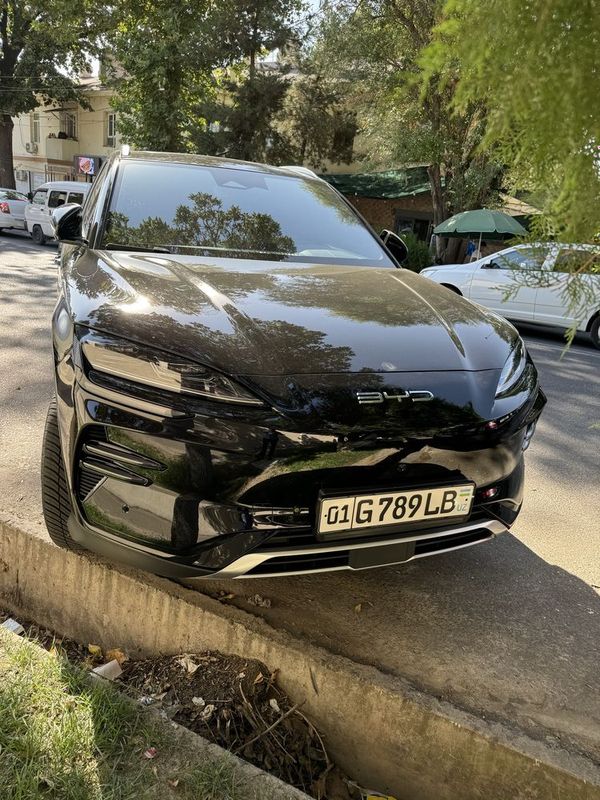 Byd champion 605km full Byd champion 605km full