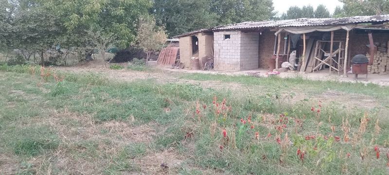 Yer sotiladi Gulbaxor qo'rg'oni shodlik maxallasi kirda ko'chasi 47-
