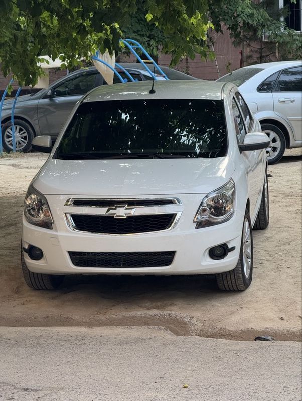 Cobalt Evro 2014.15