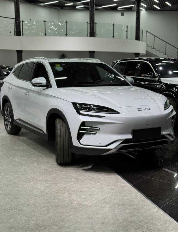 Byd Champion 2025 versiya