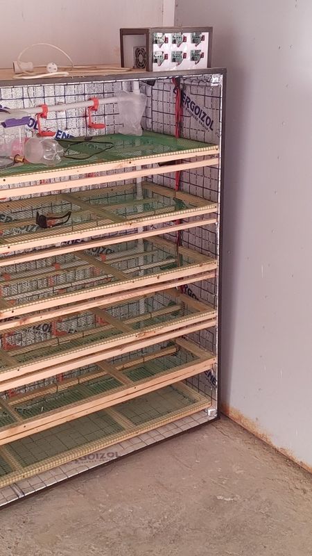 Bruder va bedana qafaslar sotiladi Bruder va bedana qafaslar sotiladi
