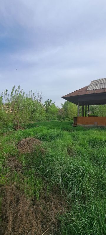 Дача Навбахор Паркентский район 8 соток Дача Навбахор Паркентский район 8 соток