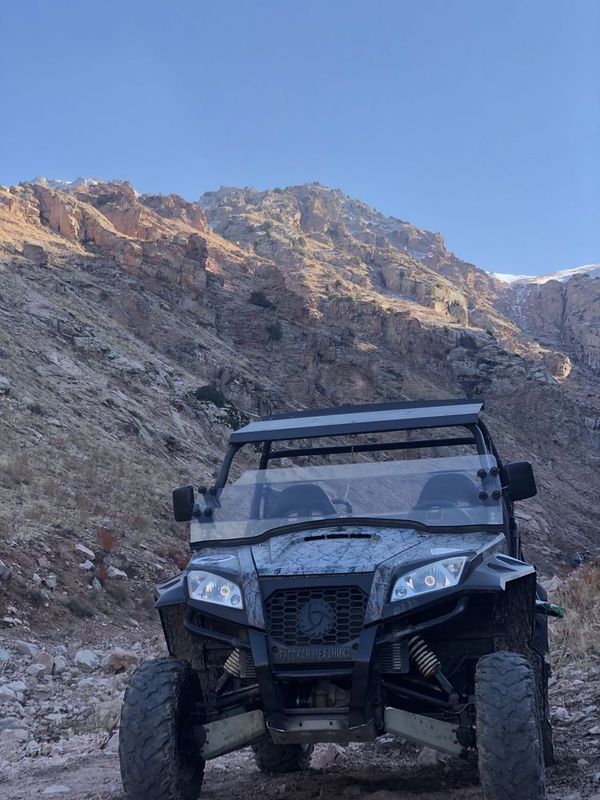 БАГГИ RM. 800 UTV 4x4