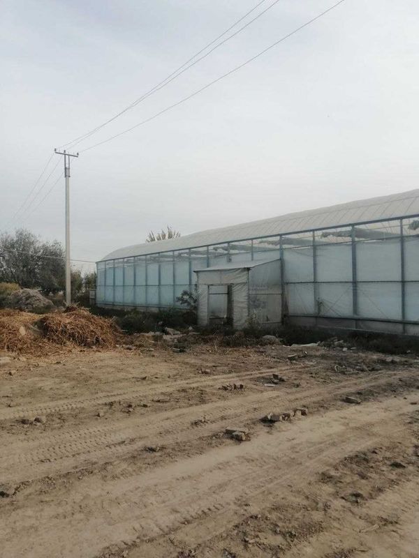 Bogot tumanida Issiqxona bino va inshootlari sotiladi