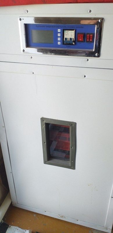 Inkubator sotiladi . Inkubator 350talik ideal holatda . продается инка