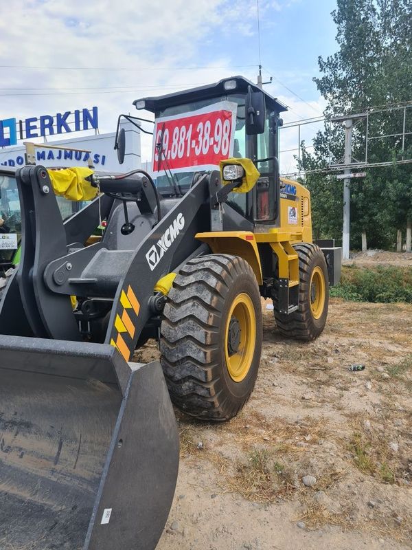 XCMG Lw300fn 1.8куб рычаг