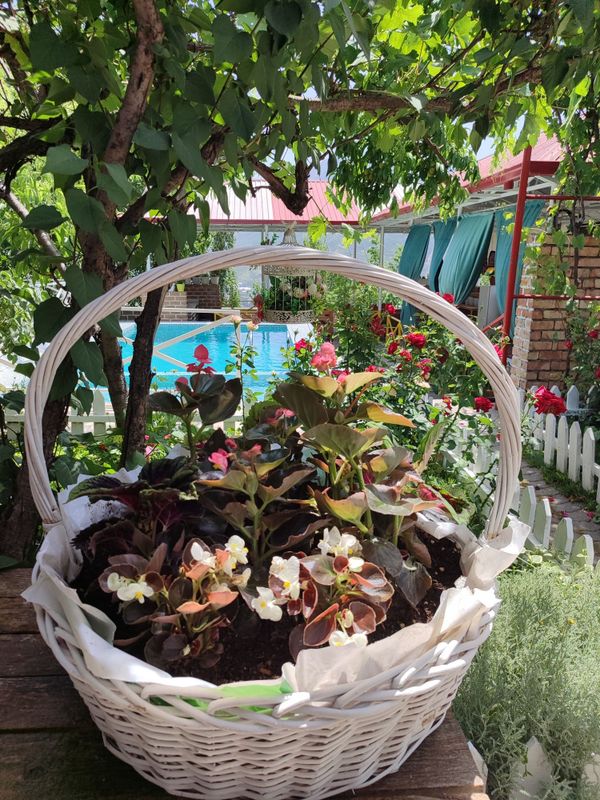 Dacha dlya semeynogo otdiha. Dacha dlya semeynogo otdiha.