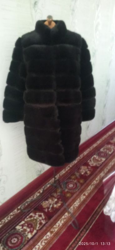 shuba arginali