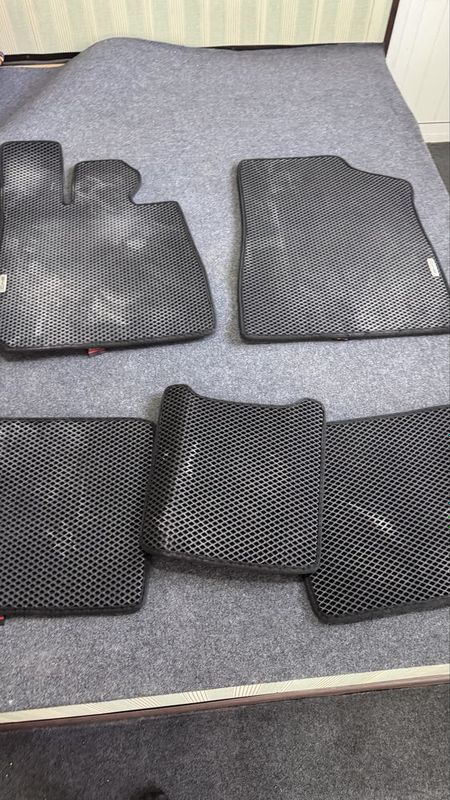 Byd HAN evakor polik Byd HAN evakor polik