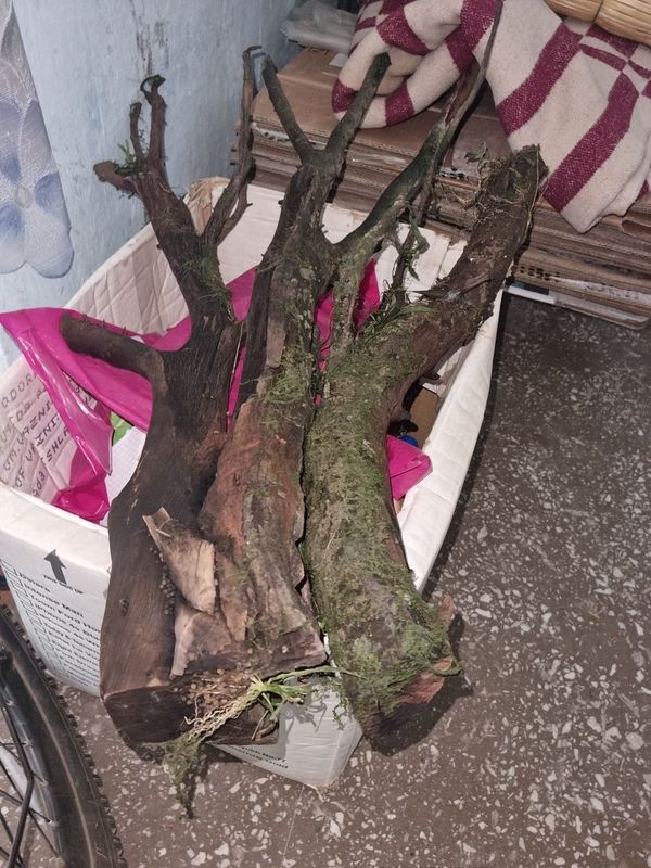 Коряга для аквариума Коряга для аквариума