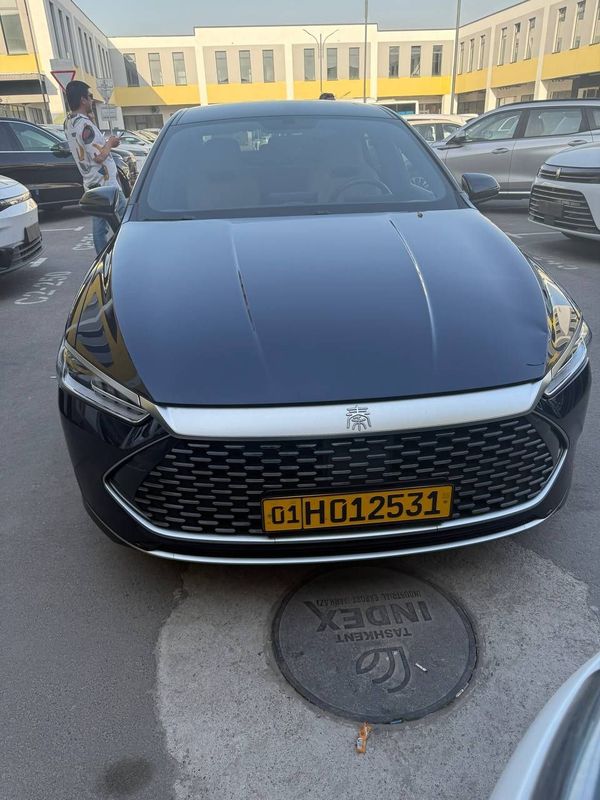 Bivaydi chin plas 2024 yil Bivaydi chin plas 2024 yil