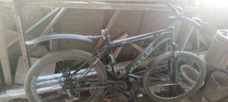 velosiped aybi 1ta sdeniya qõyasizlar bòldi