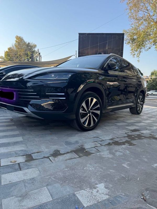 Byd chepion Gibrid 150tali