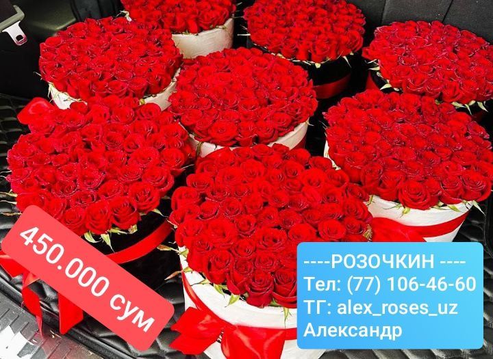 Продажа Роз Цветов по очень низкой цене. У нас Акции. Подробнее в чате Продажа Роз Цветов по очень низкой цене. У нас Акции. Подробнее в чате