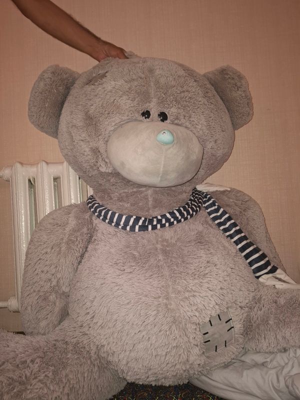 Sotiladi Teddy