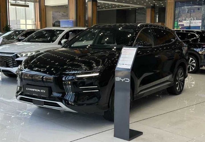 Byd song chempion notariusli